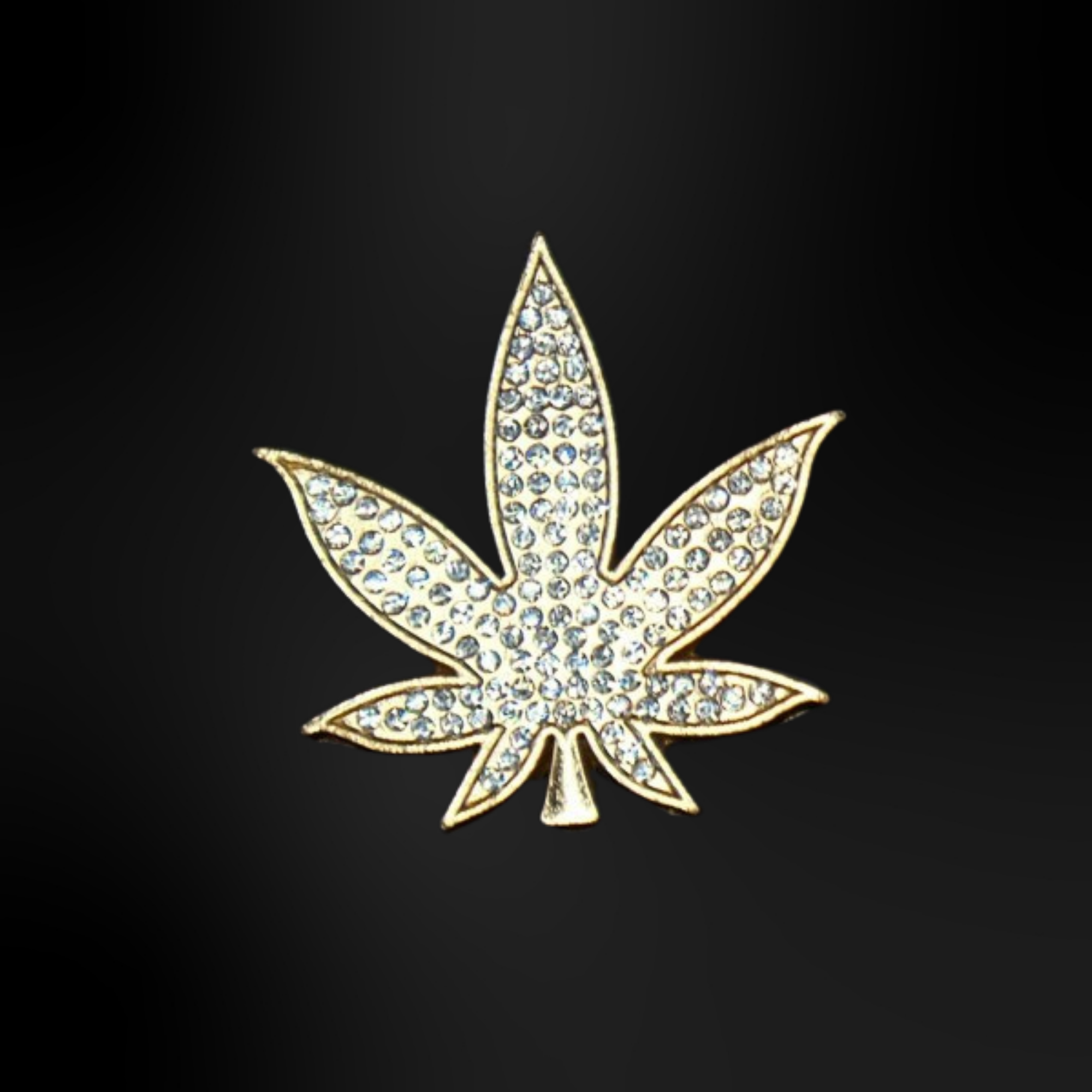 Clogs Charms- Metallic Gold 2