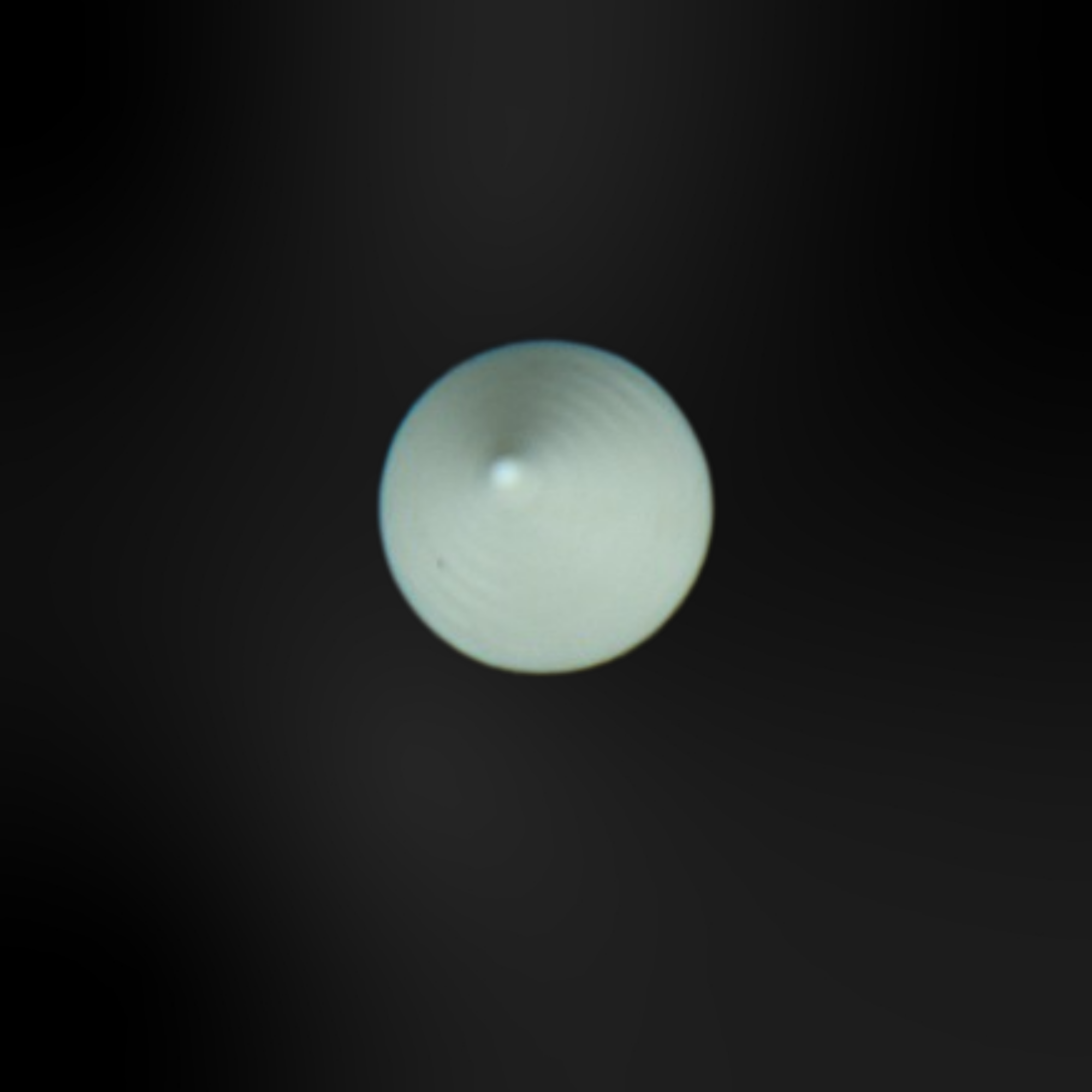 Clogs Charms - White 