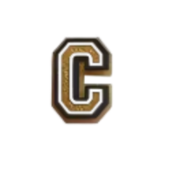 Clog Charms - Letters