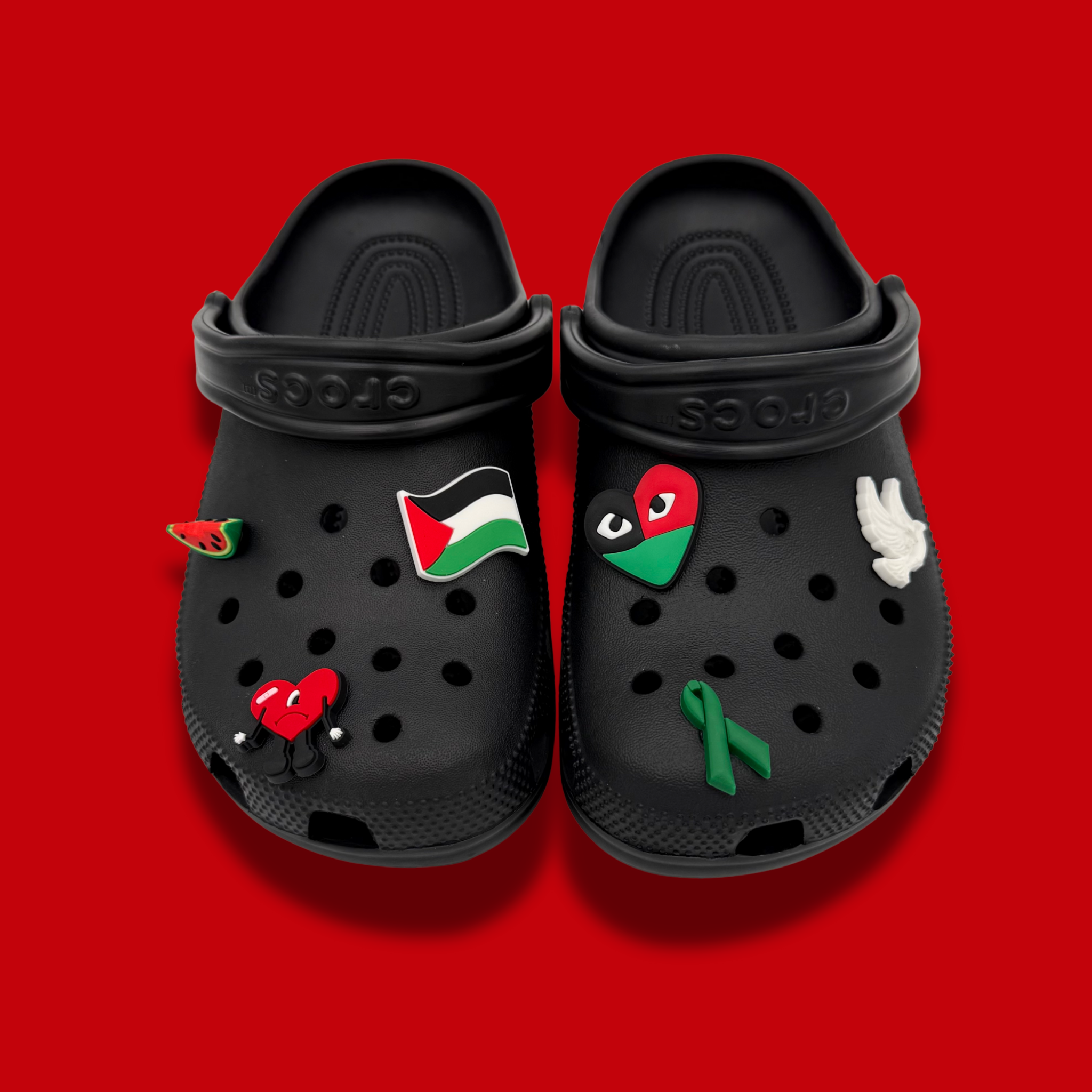 µPalestine Clogs