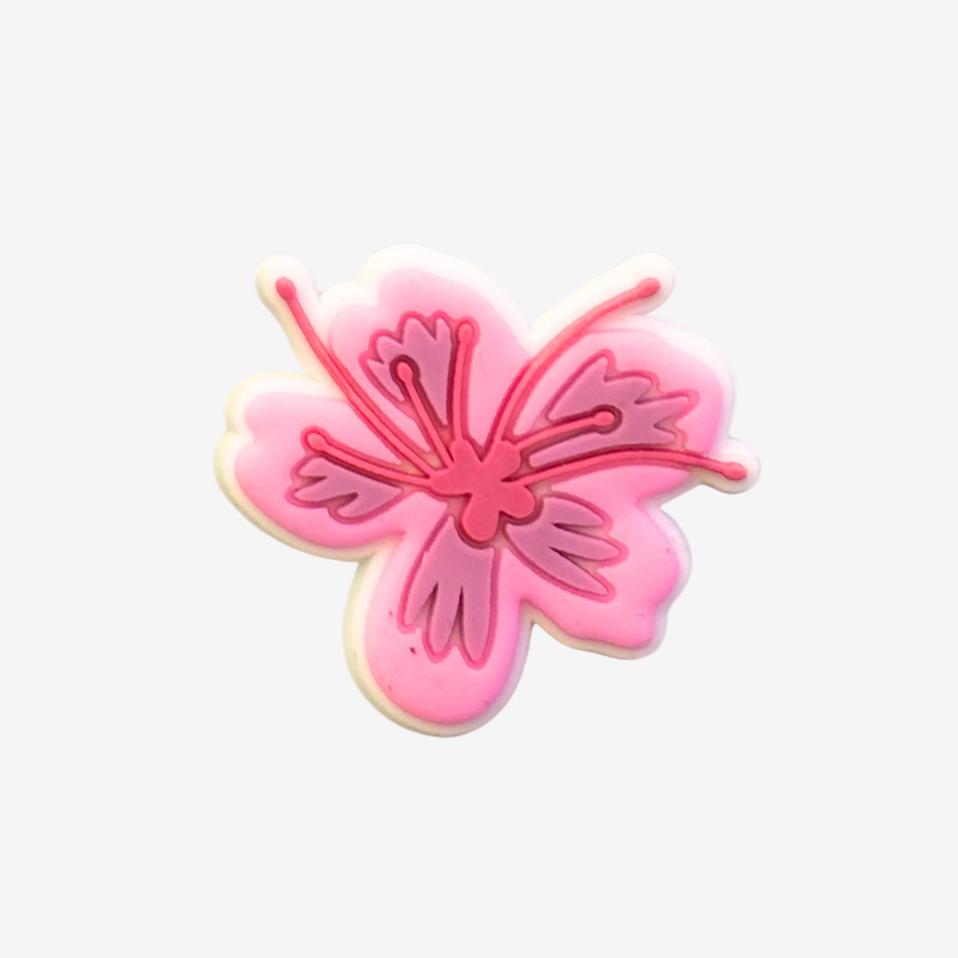 fleur hibiscus rose