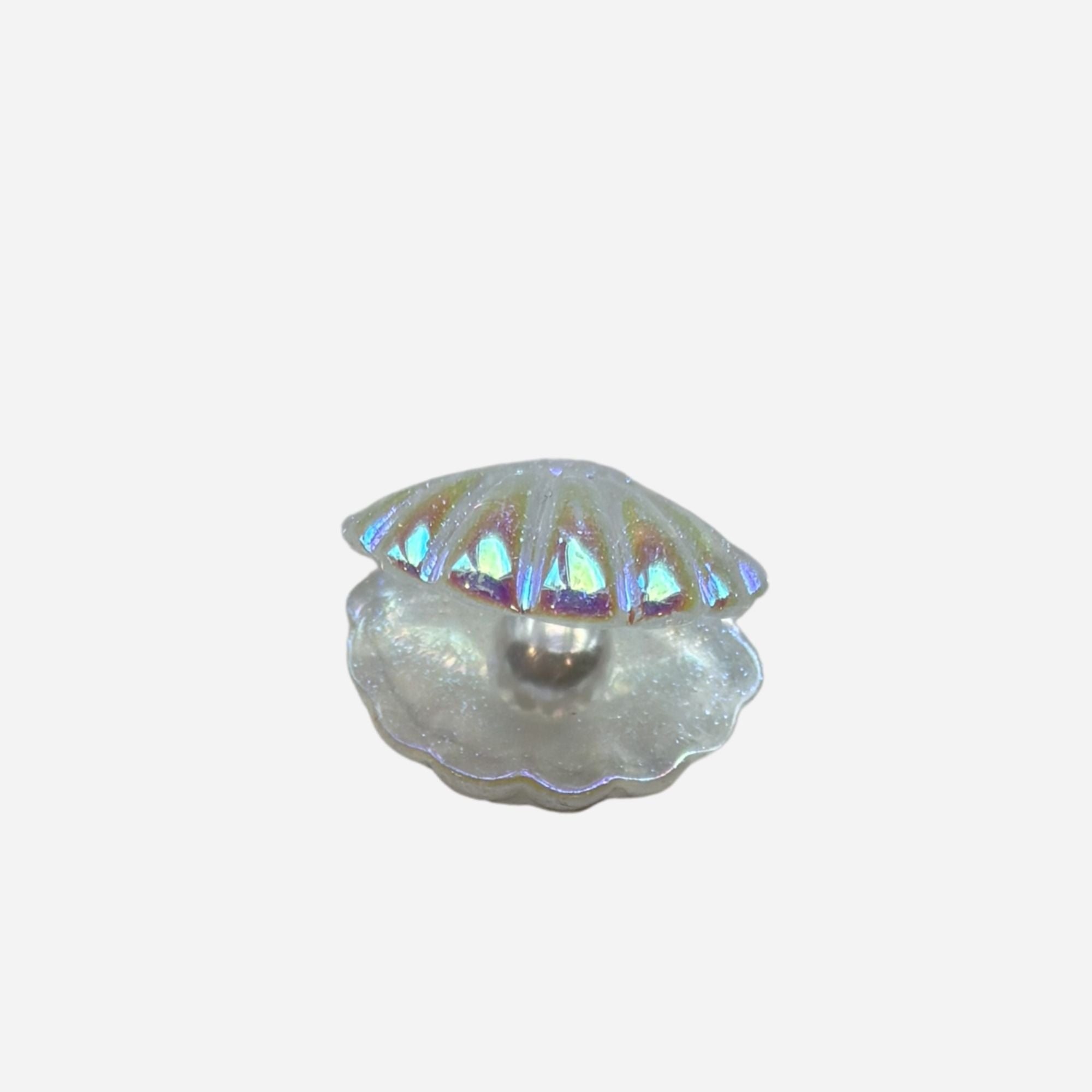 pins coquillage blanc