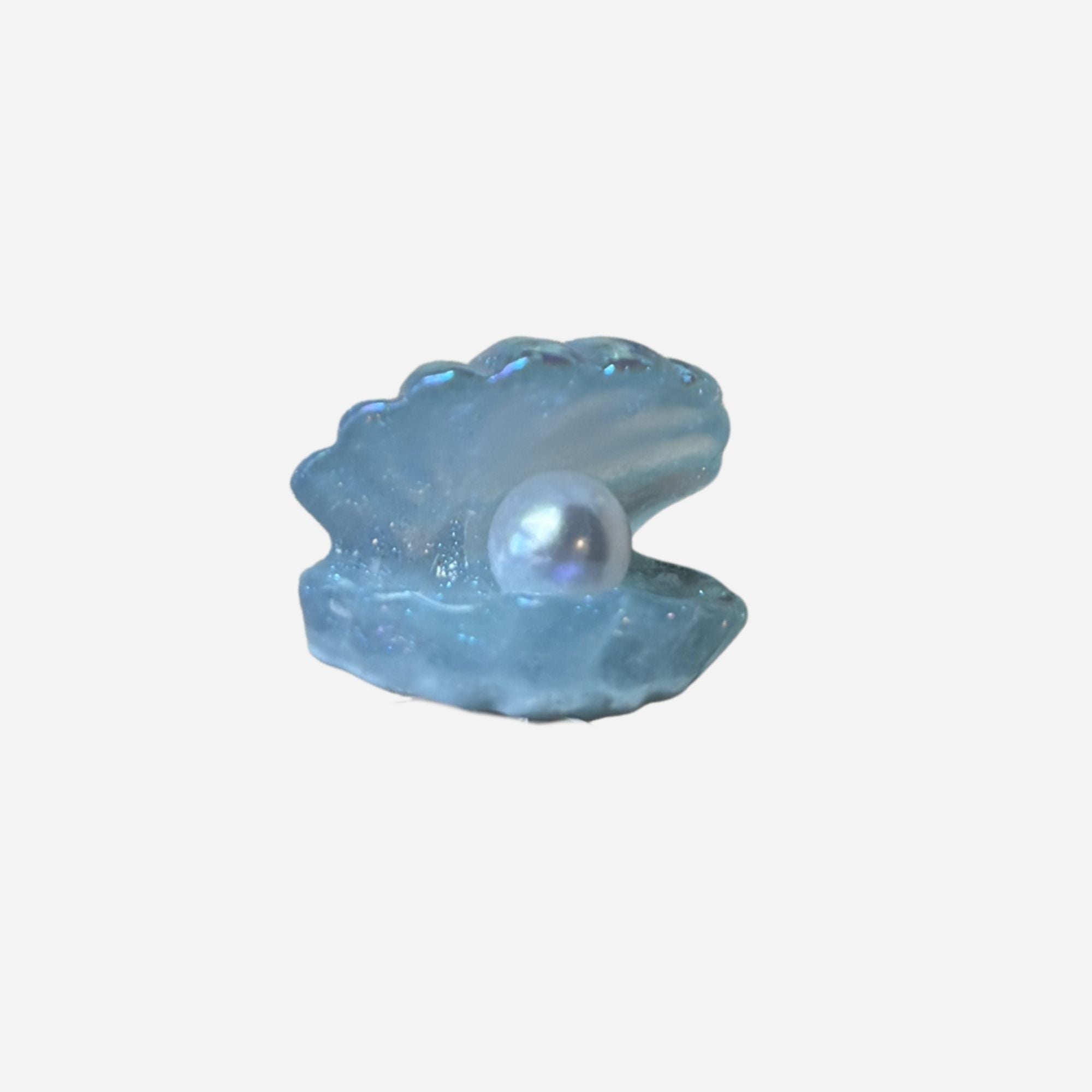 pins coquillage bleu